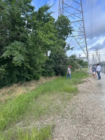 Utility corridor and vegetation documented during the cleanup project.